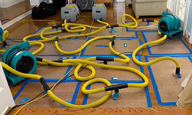 Professional Burst Pipe Water Damage technician working in Chatsworth, IL